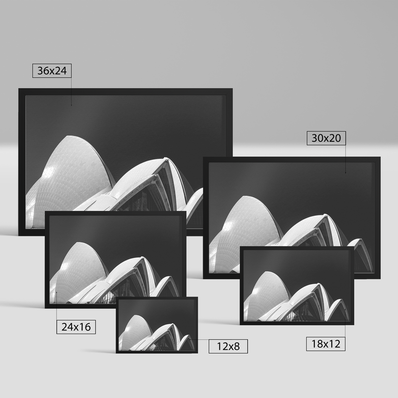 Arcs Of Life
