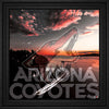 Arizona Coyotes