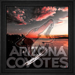 Arizona Coyotes