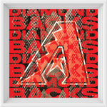 Arizona Diamond Backs