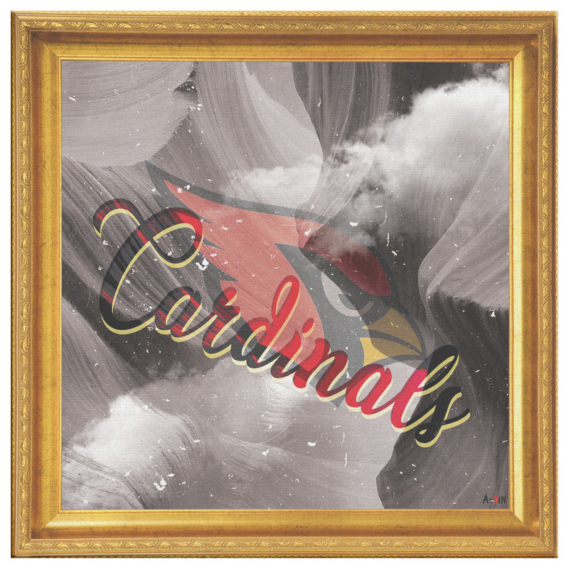 Arizona Cardinals Printed Illusion Frame Gold