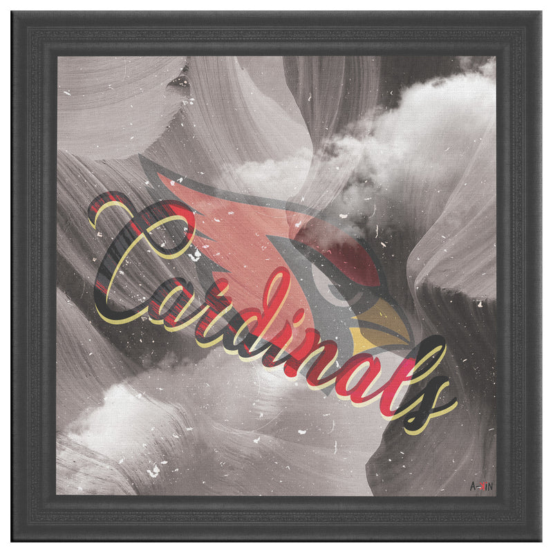 Arizona Cardinals Printed Illusion Frame Black