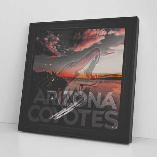 Arizona Coyotes Printed Illusion Frame Black