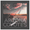 Arizona Coyotes Printed Illusion Frame Black