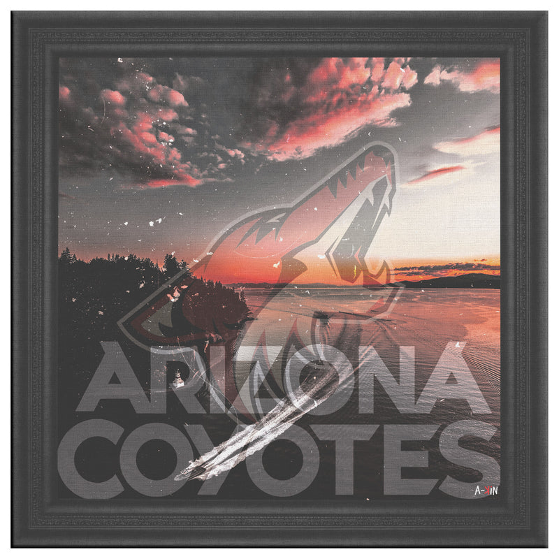 Arizona Coyotes Printed Illusion Frame Black