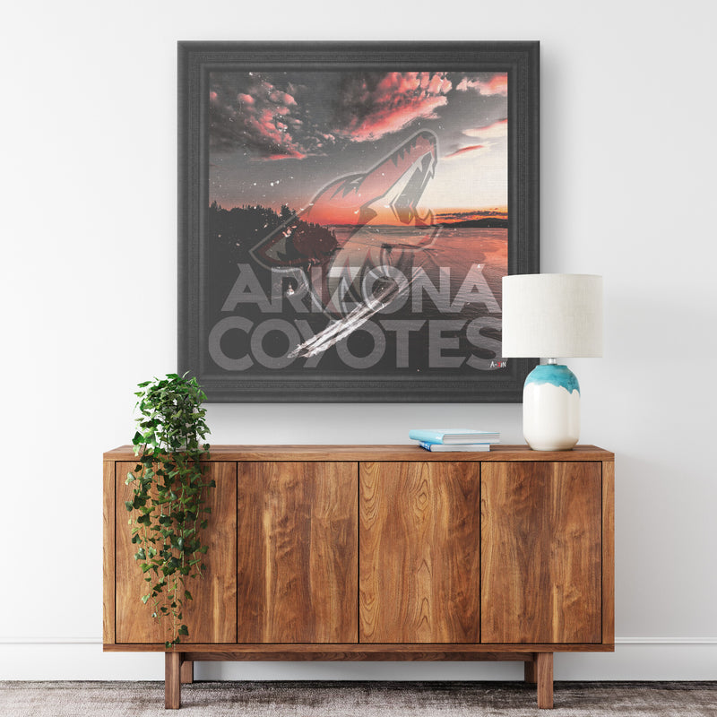 Arizona Coyotes Printed Illusion Frame Black