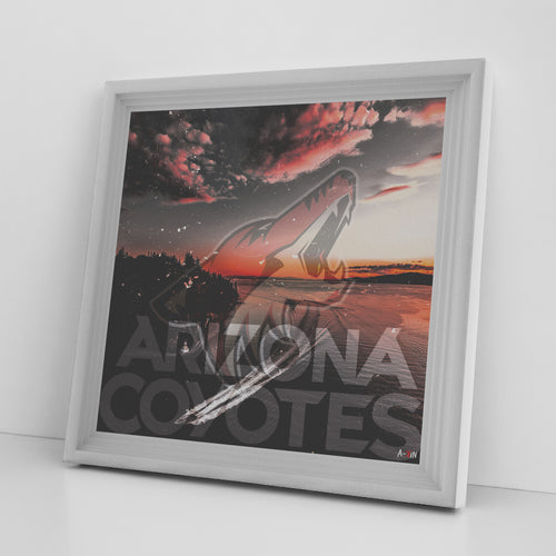 Arizona Coyotes Printed Illusion Frame White