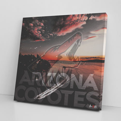 Arizona Coyotes