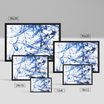 Blue Confusion