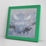 Charlotte Hornets Printed Illusion Frame Green