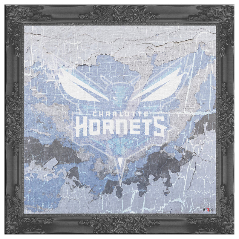 Charlotte Hornets Printed Illusion Frame Black