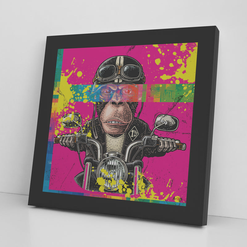Colorful Motard Printed Illusion Frame Black