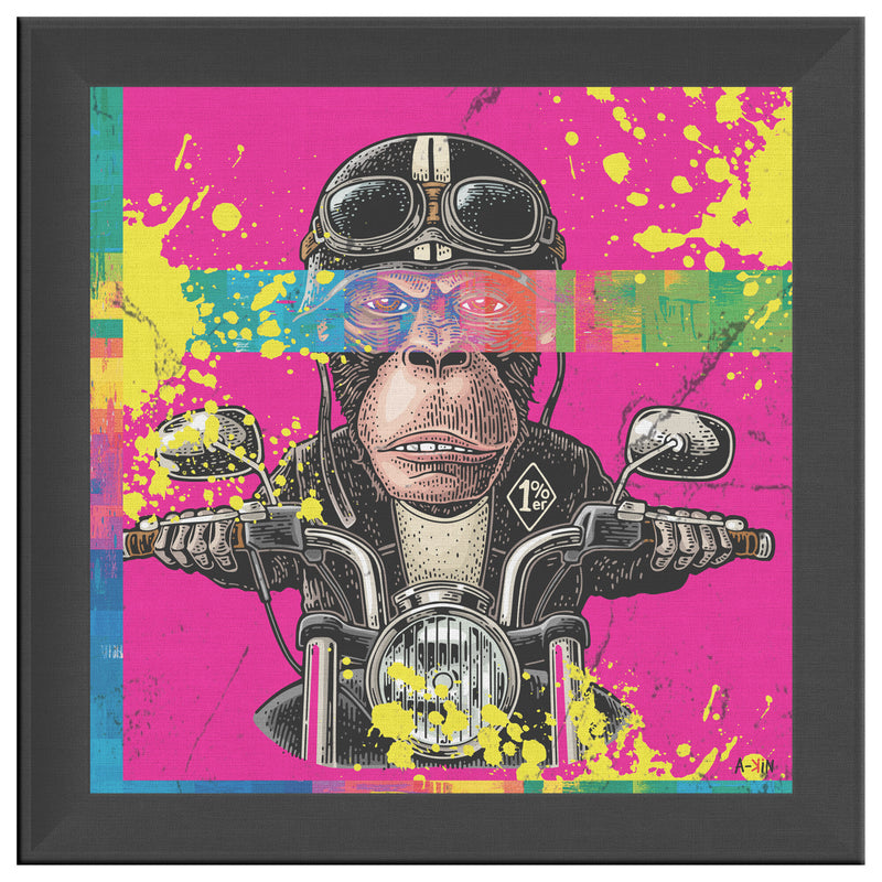 Colorful Motard Printed Illusion Frame Black
