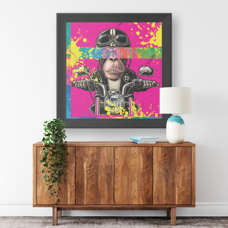 Colorful Motard Printed Illusion Frame Black