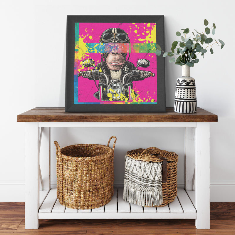 Colorful Motard Printed Illusion Frame Black