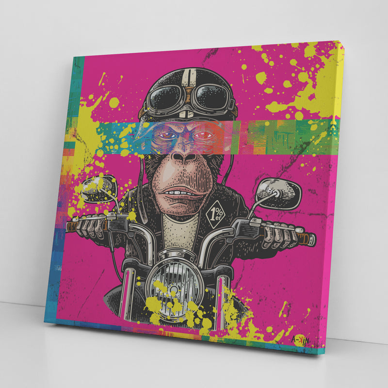 Colorful Motard