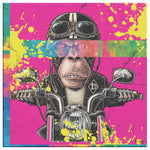 Colorful Motard