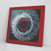Detroit Pistons Printed Illusion Frame Red