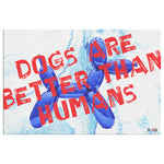Dogs & Humans