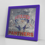 Florida Panthers Printed Illusion Frame Blue