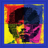 Hendrix Pop II.  Illusion Frame