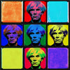 Iconic Warhol