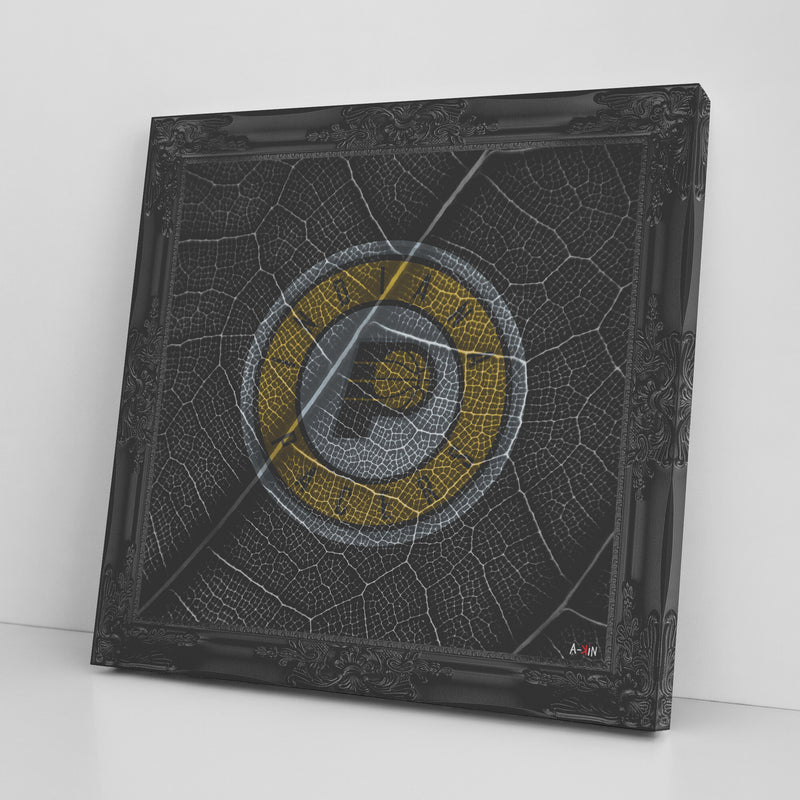 Indiana Pacers Printed Illusion Frame Black