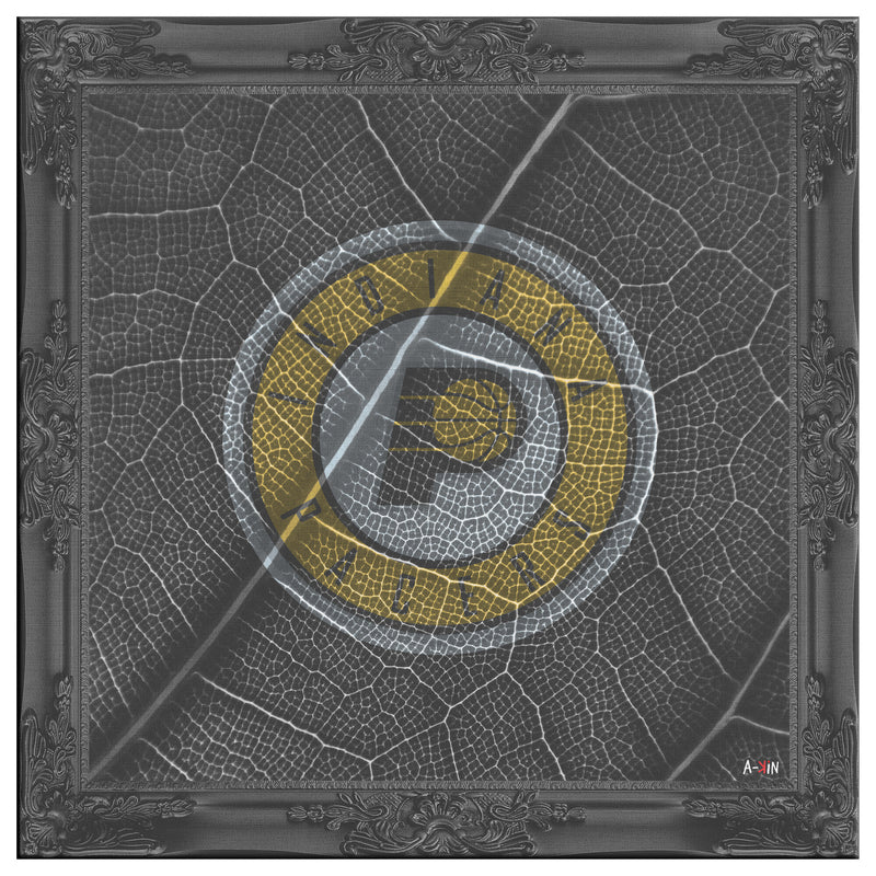 Indiana Pacers Printed Illusion Frame Black