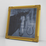 Indianapolis Colts Printed Illusion Frame Gold