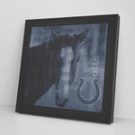 Indianapolis Colts Printed Illusion Frame Black