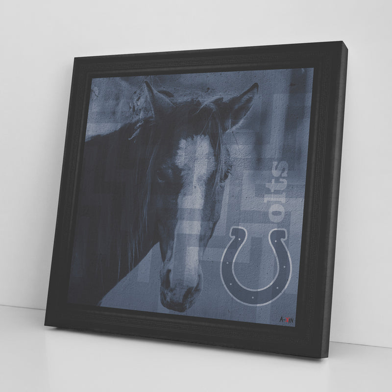 Indianapolis Colts Printed Illusion Frame Black