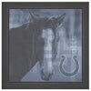 Indianapolis Colts Printed Illusion Frame Black
