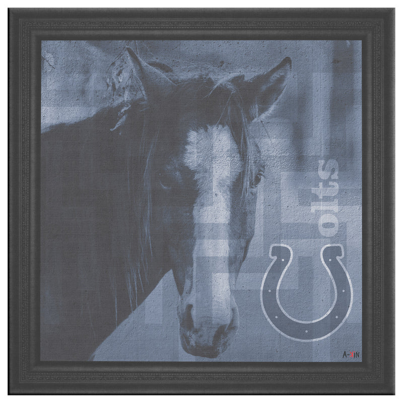 Indianapolis Colts Printed Illusion Frame Black