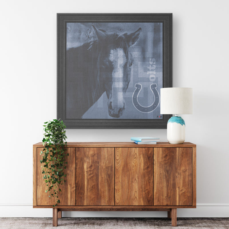 Indianapolis Colts Printed Illusion Frame Black