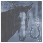 Indianapolis Colts