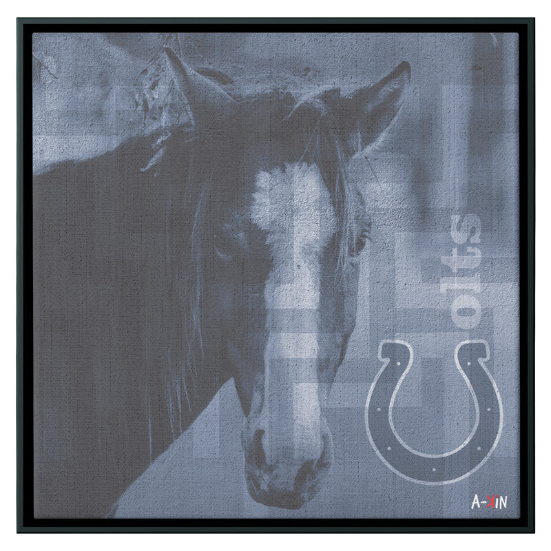 Indianapolis Colts Wood Frame