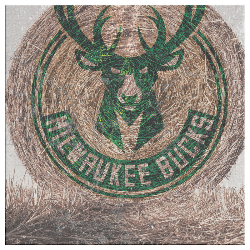 Milwaukee Bucks Printed Illusion Frame Green