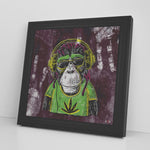 Mr Monkey Jah Printed Illusion Frame Black