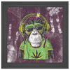Mr Monkey Jah Printed Illusion Frame Black