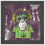 Mr Monkey Jah Printed Illusion Frame Black