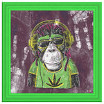 Mr Monkey Jah Printed Illusion Frame Green