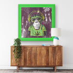Mr Monkey Jah Printed Illusion Frame Green