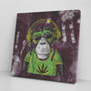 Mr Monkey Jah