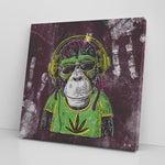 Mr Monkey Jah