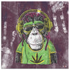 Mr Monkey Jah