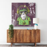 Mr Monkey Jah