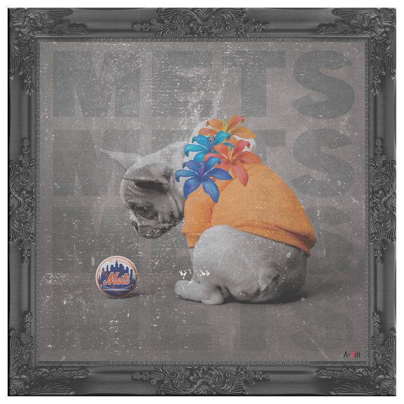 NY Mets Printed Illusion Frame Black