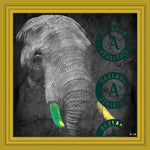 Oakland Athletics