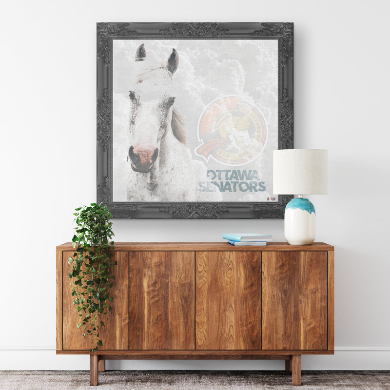 Ottawa Senators Printed Illusion Frame Black