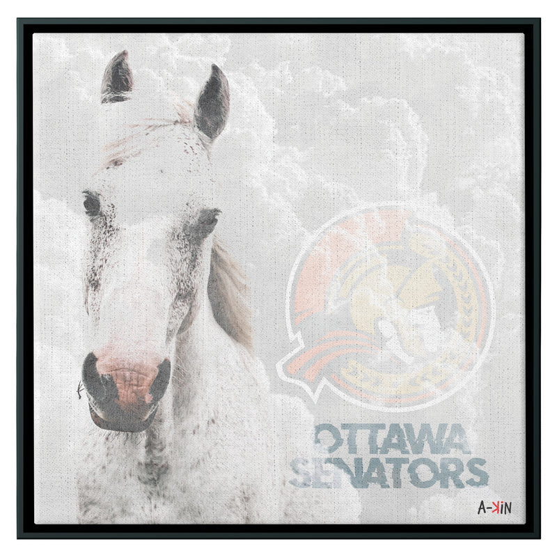 Ottawa Senators Wood Frame